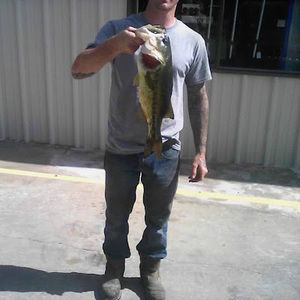 Meet your Posher, Dylan